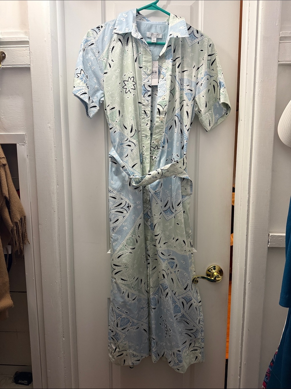 Ann Taylor Light Blue and Mint Paisley Button-Up Dress